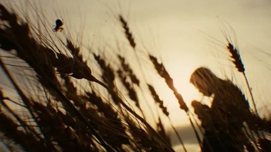 The Assassination of Jesse James by the Coward Robert Ford