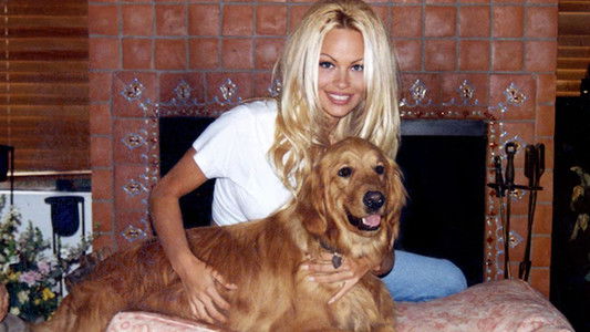 Pamela, A Love Story