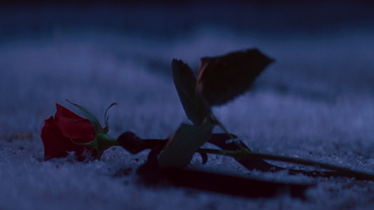 The Phantom of the Opera