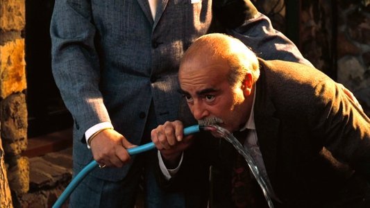 The Godfather Part II
