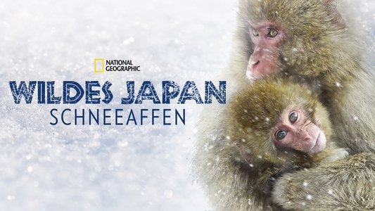 Wild Japan: Snow Monkeys