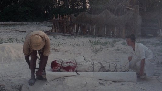 Zombie Flesh Eaters