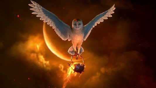 Legend of the Guardians: The Owls of Ga'Hoole