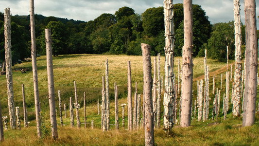 28 Years Later: The Bone Temple