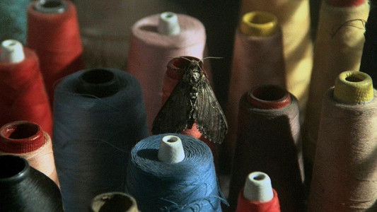 The Silence of the Lambs