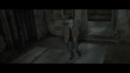 Harry Potter and the Deathly Hallows: Part 2