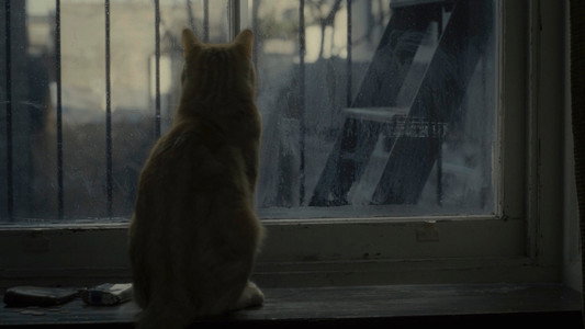 Inside Llewyn Davis