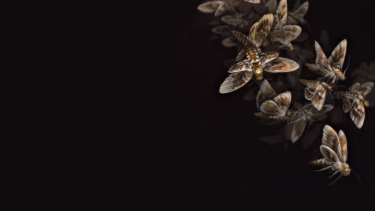 The Silence of the Lambs