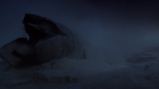 Dune