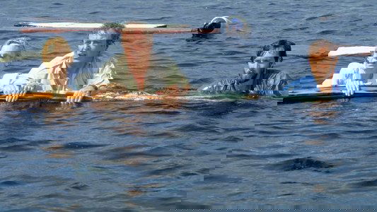 Jaws: The Revenge