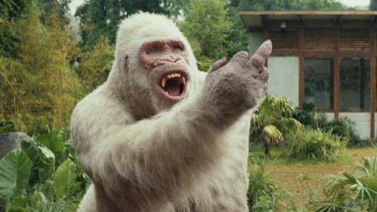 Rampage