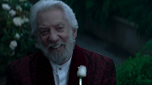 The Hunger Games: Mockingjay - Part 2