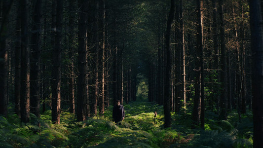 Wake Up Dead Man: A Knives Out Mystery