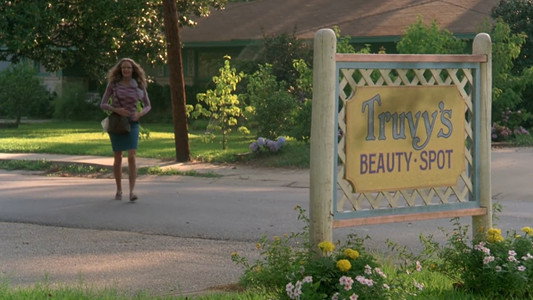 Steel Magnolias