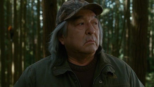 The Twilight Saga: New Moon