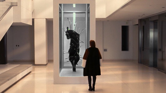 Nocturnal Animals
