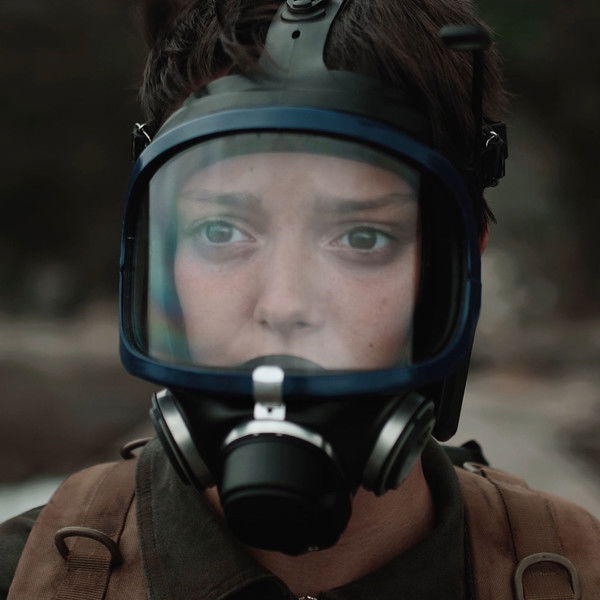 Where the Seagulls Sleep