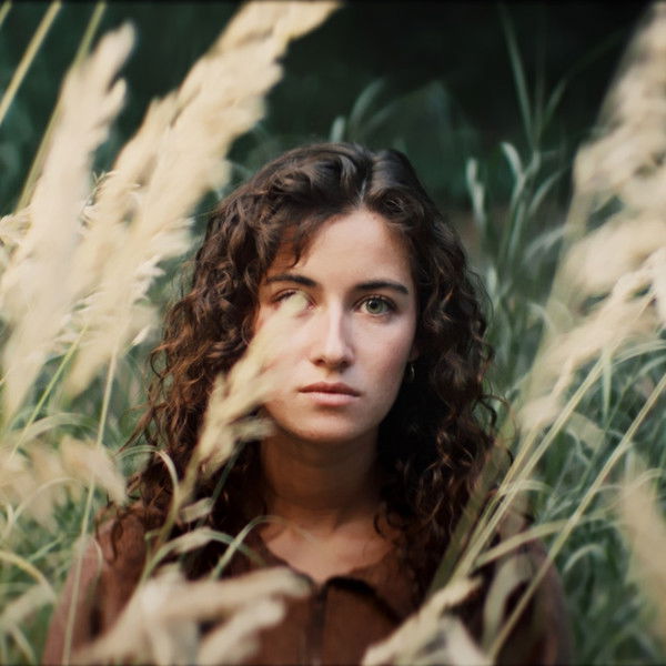 The Weight of Quiet Things