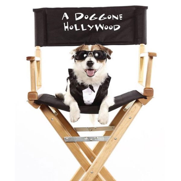A Doggone Hollywood