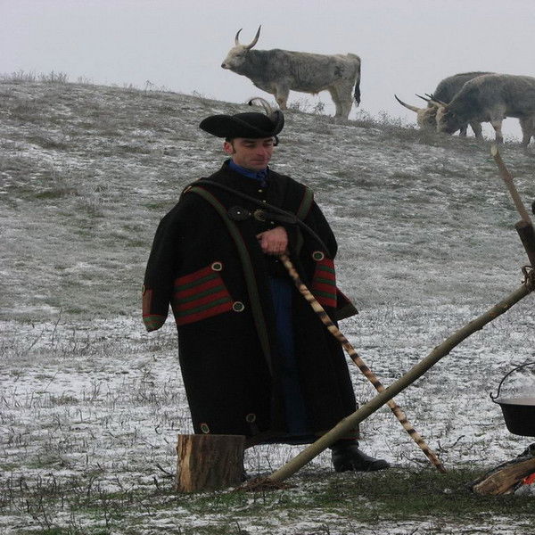 Wild Hungary – A Water Wonderland