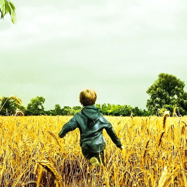 Fireflies in the Garden