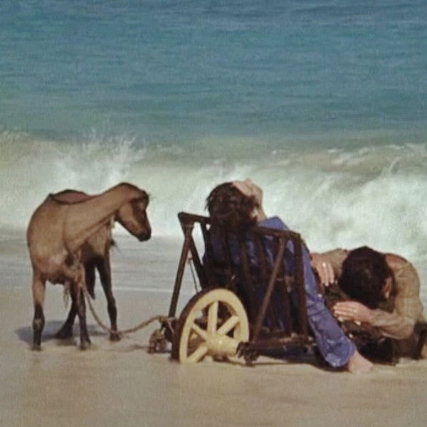 I Will Walk Like a Crazy Horse