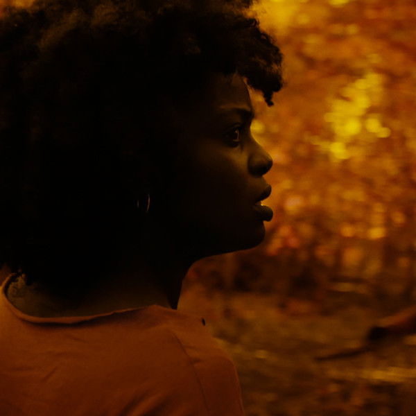 A Song from the Dark