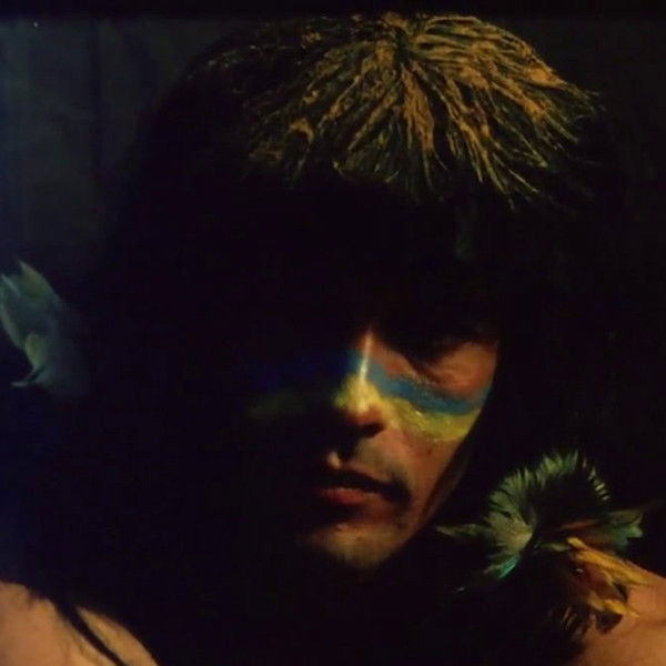 Mburucuyá: Portraits of Nature