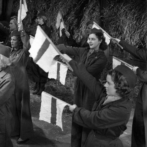 Landstormens lilla argbigga