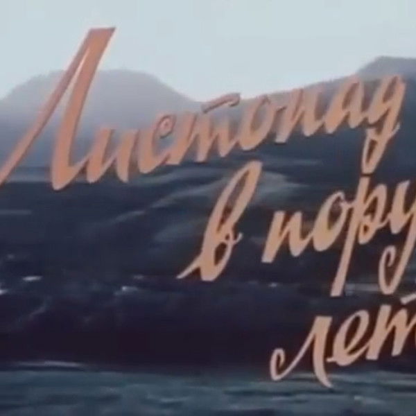 Yellow Leaves in Summer