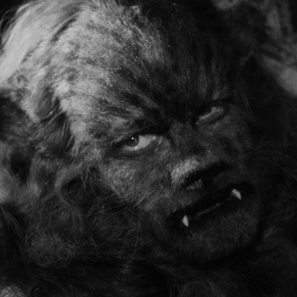 Beauty and the Beast