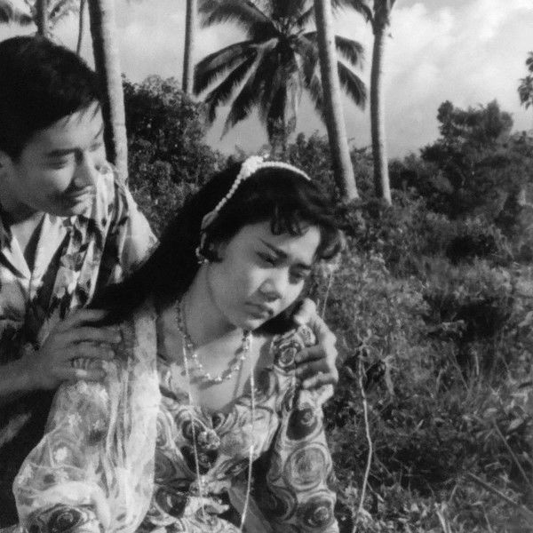 Blood Stains the Valley of Love