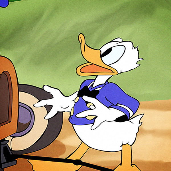 Donald's Tire Trouble