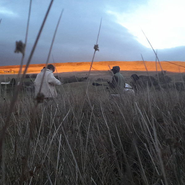 INSIDE: Narrative of Our Journey