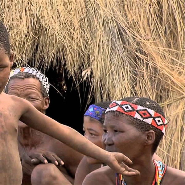 Africa, Blood & Beauty