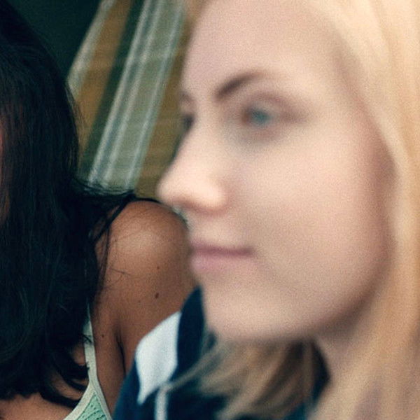 The Cricket and the Ant