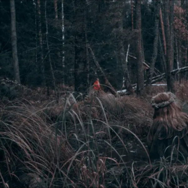 Izvod: Witch's Swamp