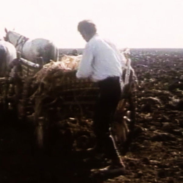 The Death of Djurica the Peasant