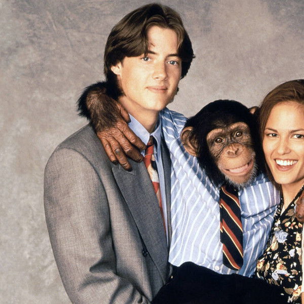 The Barefoot Executive