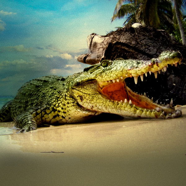 Life and Death in Paradise: Crocs of the Caribbean