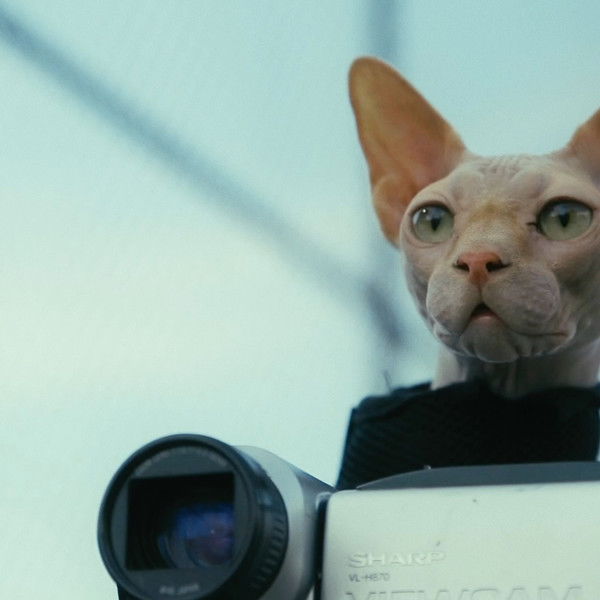 Don't Come Home Before Midnight