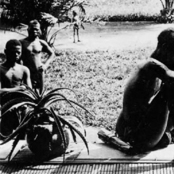 Congo: White King, Red Rubber, Black Death