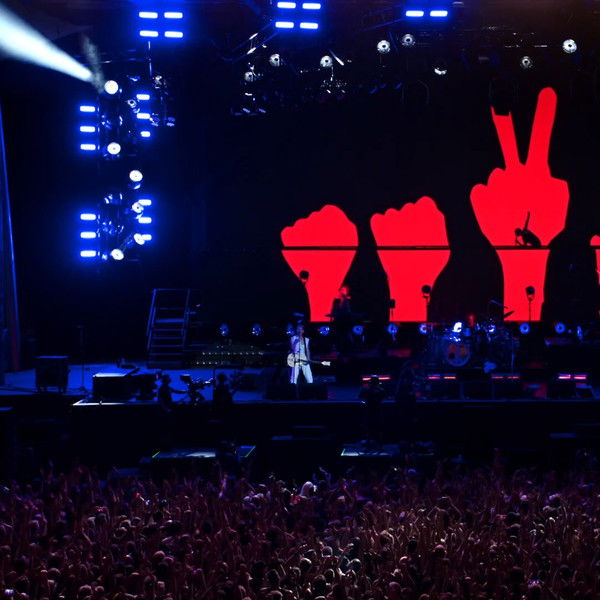 Spirits in the Forest