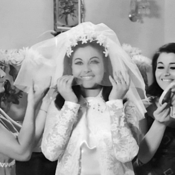 Crazy, Nuts and Vengos