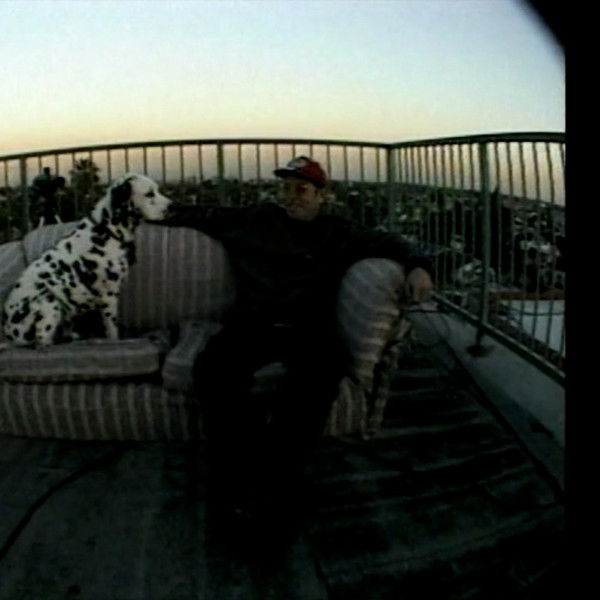 Sublime | Stories, Tales, Lies & Exaggerations