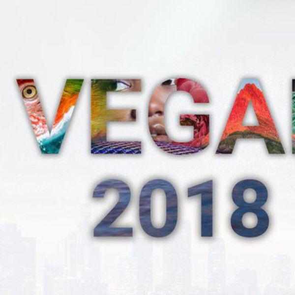 Vegan 2018
