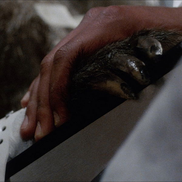 Baboon Bite Maniacs! - "Primal Rage" 35 Years Later