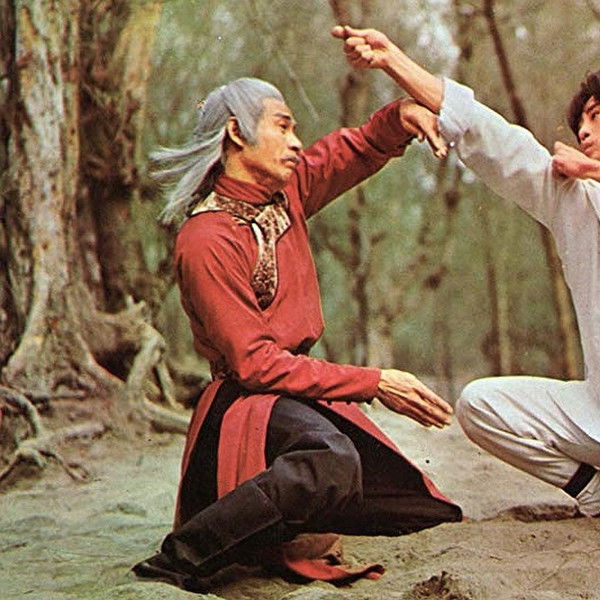 Shaolin Kung Fu Master