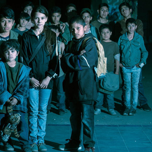 Tigers Are Not Afraid