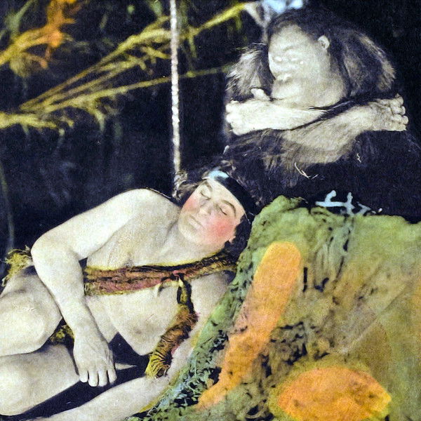 The Adventures of Tarzan